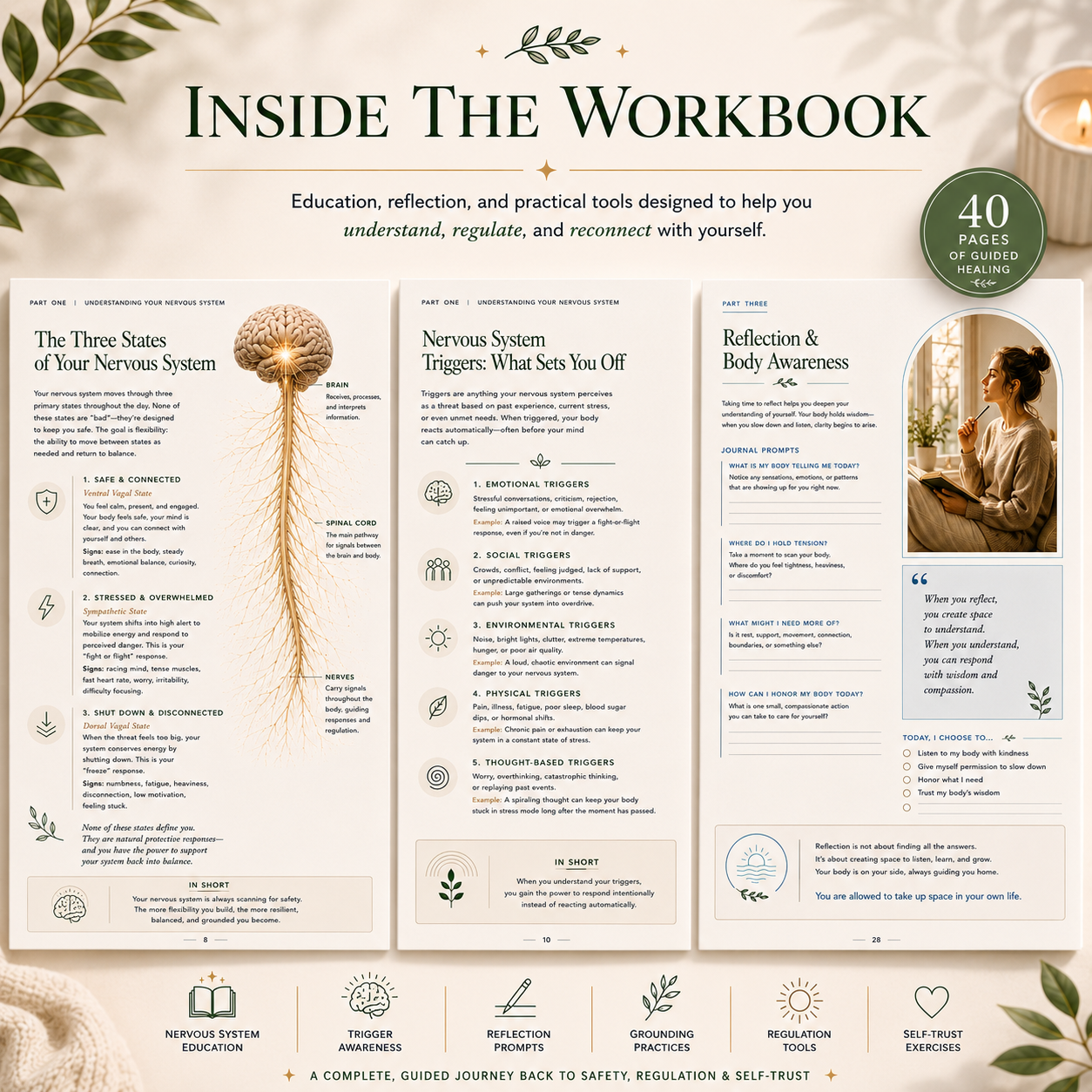 Nervous System Reset Workbook